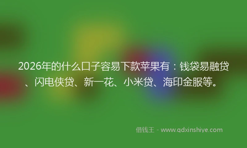 2026年的什么口子容易下款苹果有：钱袋易融贷、闪电侠贷、新一花、小米贷、海印金服等。