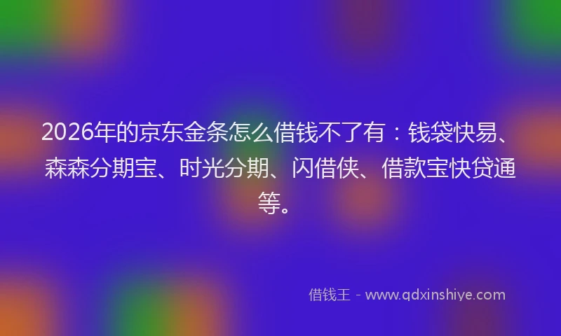 2026年的京东金条怎么借钱不了有：钱袋快易、森森分期宝、时光分期、闪借侠、借款宝快贷通等。