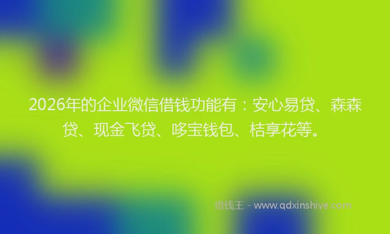 2026年的企业微信借钱功能有:安心易贷、森森贷、现金飞贷、哆宝钱包、桔享花等。