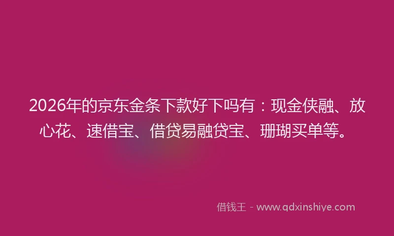 2026年的京东金条下款好下吗有：现金侠融、放心花、速借宝、借贷易融贷宝、珊瑚买单等。