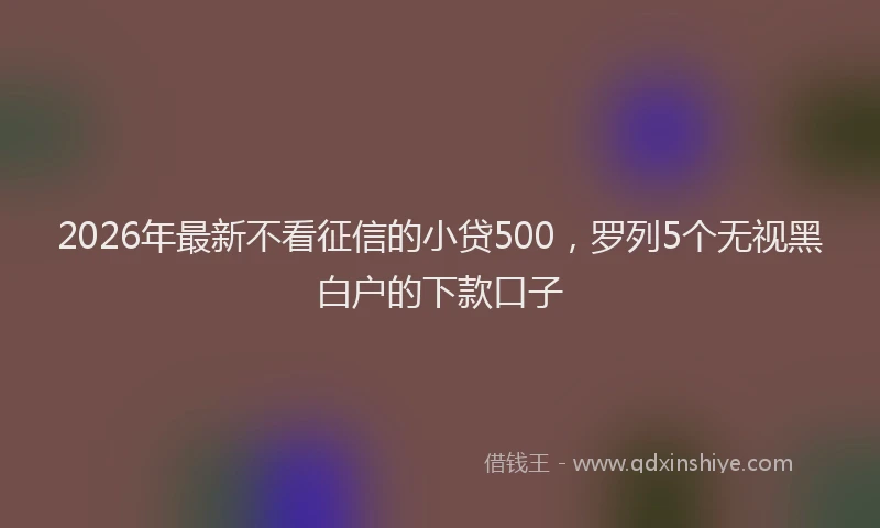 2026年最新不看征信的小贷500,罗列5个无视黑白户的下款口子