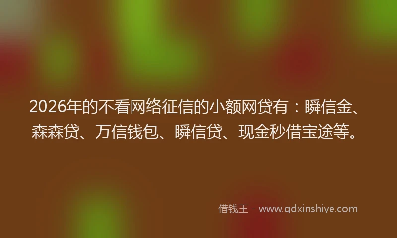 2026年的不看网络征信的小额网贷有：瞬信金、森森贷、万信钱包、瞬信贷、现金秒借宝途等。