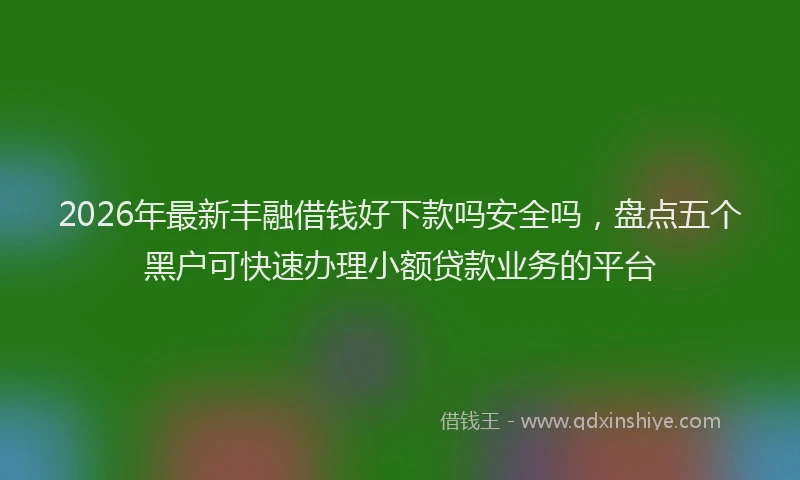 2026年最新丰融借钱好下款吗安全吗，盘点五个黑户可快速办理小额贷款业务的平台