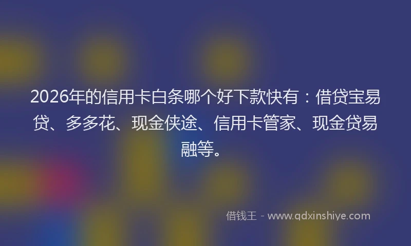 2026年的信用卡白条哪个好下款快有：借贷宝易贷、多多花、现金侠途、信用卡管家、现金贷易融等。