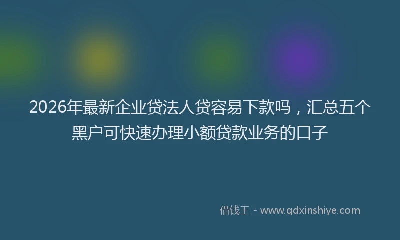 2026年最新企业贷法人贷容易下款吗,汇总五个黑户可快速办理小额贷款业务的口子