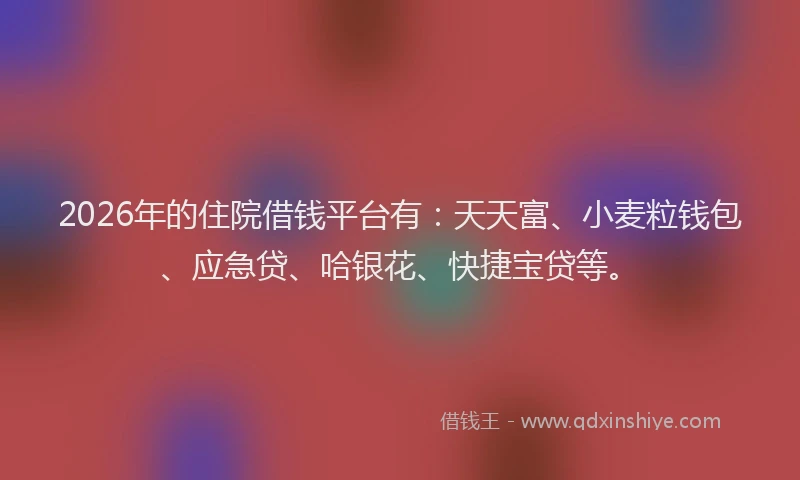 2026年的住院借钱平台有:天天富、小麦粒钱包、应急贷、哈银花、快捷宝贷等。