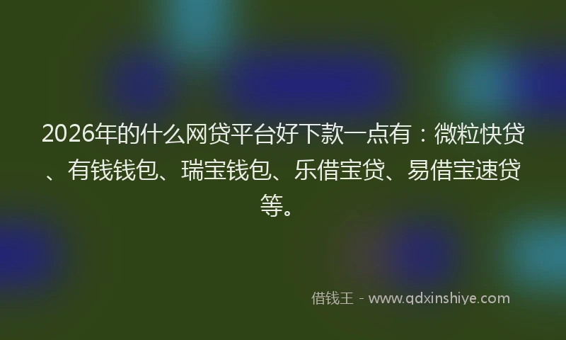 2026年的什么网贷平台好下款一点有:微粒快贷、有钱钱包、瑞宝钱包、乐借宝贷、易借宝速贷等。