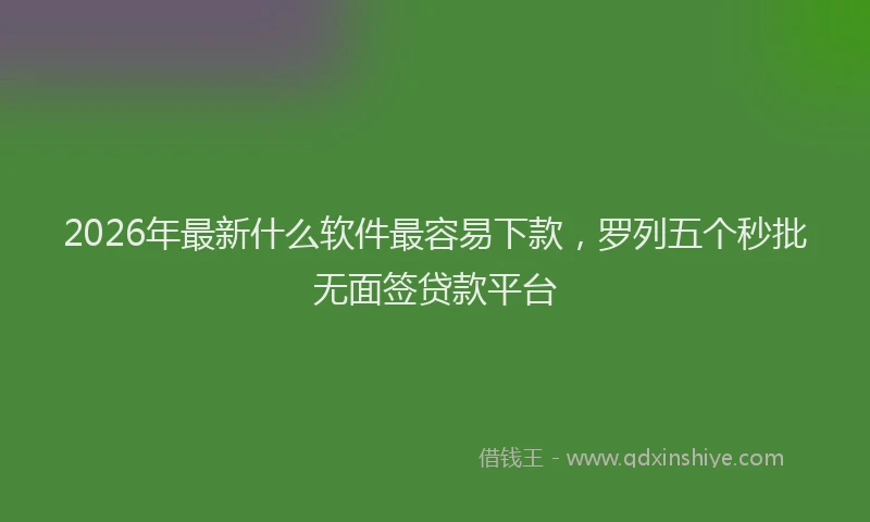 2026年最新什么软件最容易下款，罗列五个秒批无面签贷款平台
