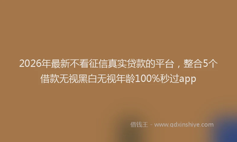 2026年最新不看征信真实贷款的平台，整合5个借款无视黑白无视年龄100%秒过app