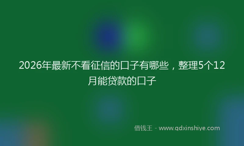 2026年最新不看征信的口子有哪些，整理5个12月能贷款的口子