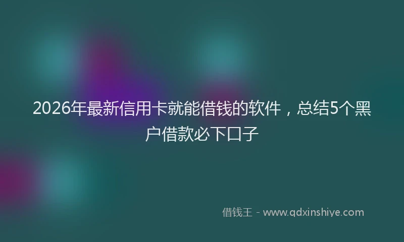2026年最新信用卡就能借钱的软件，总结5个黑户借款必下口子
