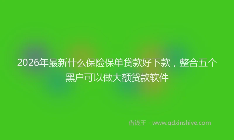 2026年最新什么保险保单贷款好下款，整合五个黑户可以做大额贷款软件