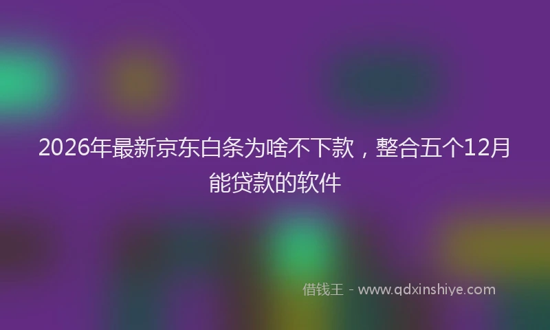 2026年最新京东白条为啥不下款，整合五个12月能贷款的软件