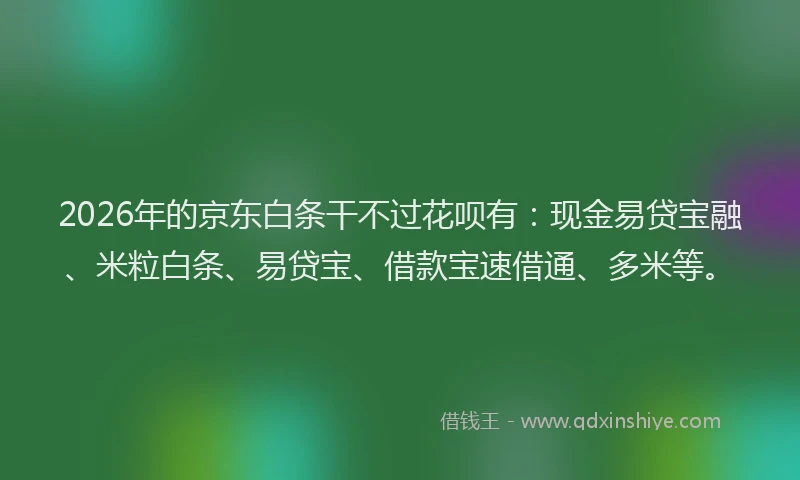 2026年的京东白条干不过花呗有：现金易贷宝融、米粒白条、易贷宝、借款宝速借通、多米等。