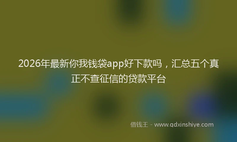 2026年最新你我钱袋app好下款吗，汇总五个真正不查征信的贷款平台