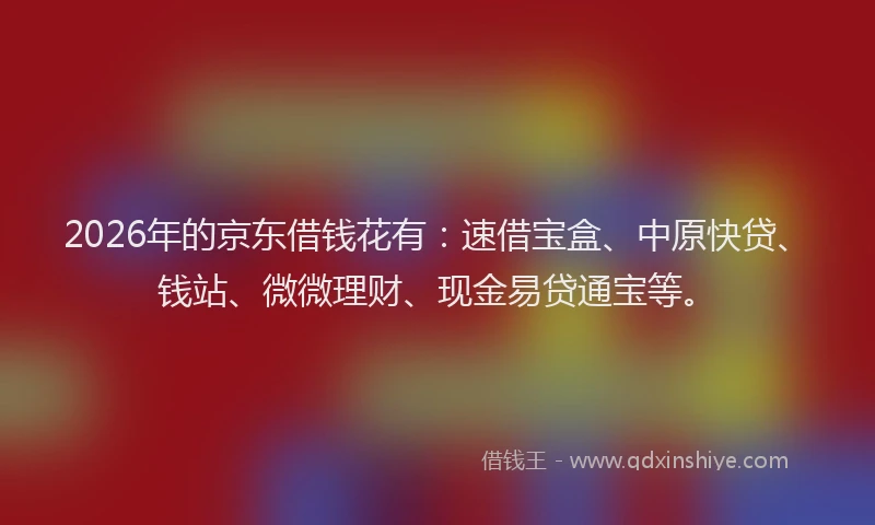 2026年的京东借钱花有:速借宝盒、中原快贷、钱站、微微理财、现金易贷通宝等。