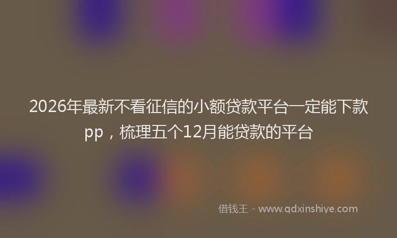 2026年最新不看征信的小额贷款平台一定能下款pp，梳理五个12月能贷款的平台