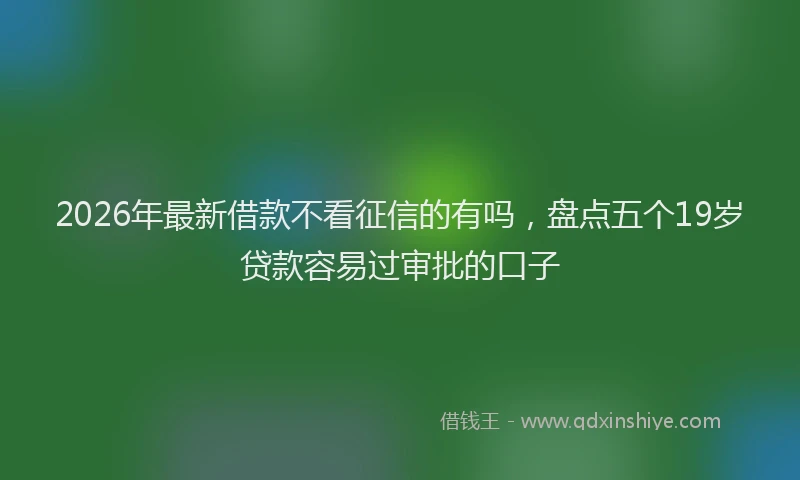 2026年最新借款不看征信的有吗，盘点五个19岁贷款容易过审批的口子