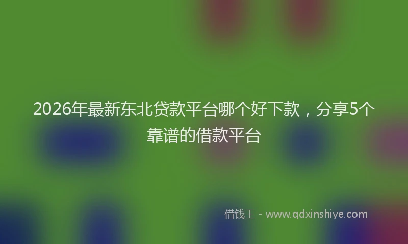 2026年最新东北贷款平台哪个好下款，分享5个靠谱的借款平台