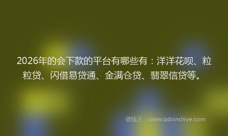 2026年的会下款的平台有哪些有:洋洋花呗、粒粒贷、闪借易贷通、金满仓贷、翡翠信贷等。