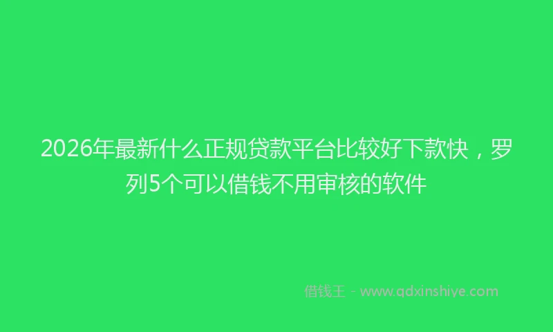 2026年最新什么正规贷款平台比较好下款快,罗列5个可以借钱不用审核的软件