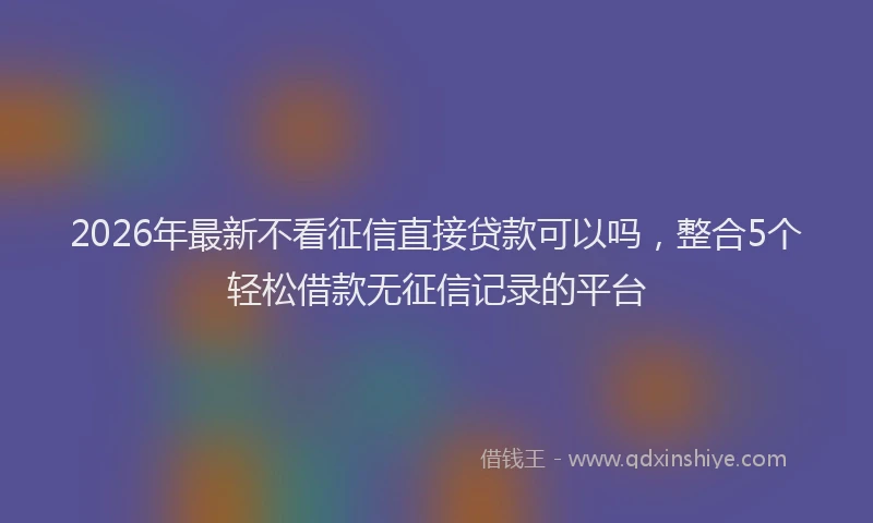 2026年最新不看征信直接贷款可以吗，整合5个轻松借款无征信记录的平台