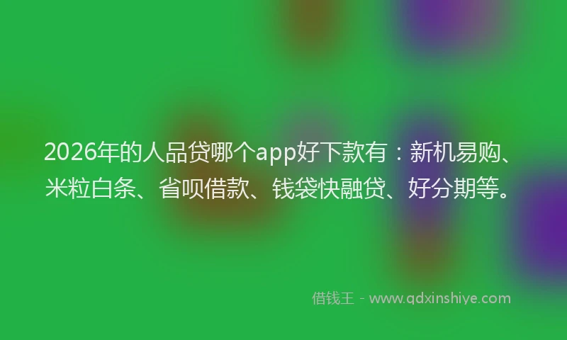 2026年的人品贷哪个app好下款有:新机易购、米粒白条、省呗借款、钱袋快融贷、好分期等。
