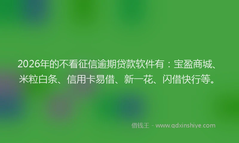 2026年的不看征信逾期贷款软件有:宝盈商城、米粒白条、信用卡易借、新一花、闪借快行等。