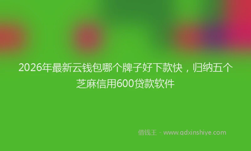 2026年最新云钱包哪个牌子好下款快,归纳五个芝麻信用600贷款软件