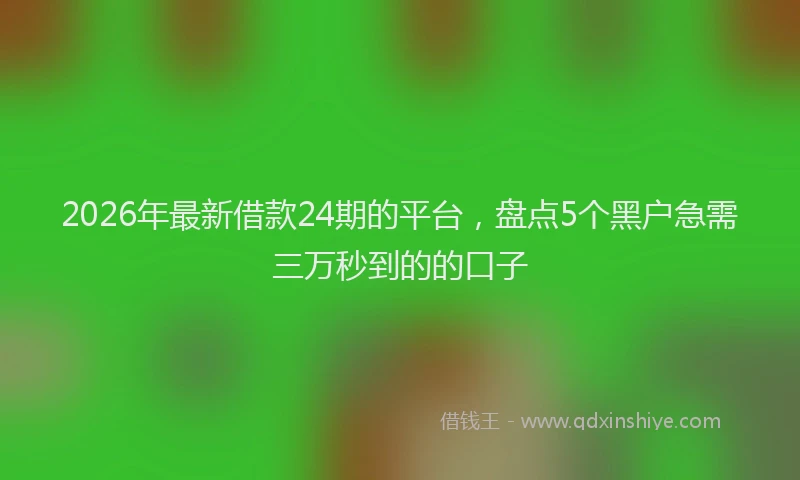 2026年最新借款24期的平台，盘点5个黑户急需三万秒到的的口子