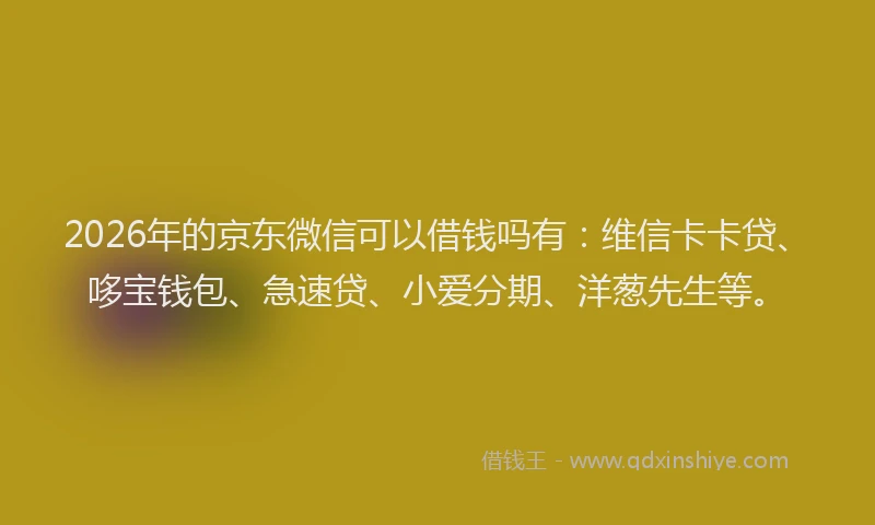 2026年的京东微信可以借钱吗有:维信卡卡贷、哆宝钱包、急速贷、小爱分期、洋葱先生等。