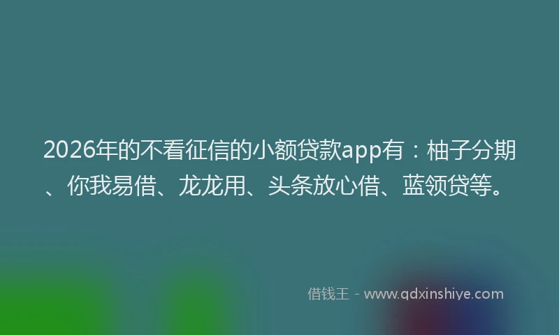 2026年的不看征信的小额贷款app有：柚子分期、你我易借、龙龙用、头条放心借、蓝领贷等。