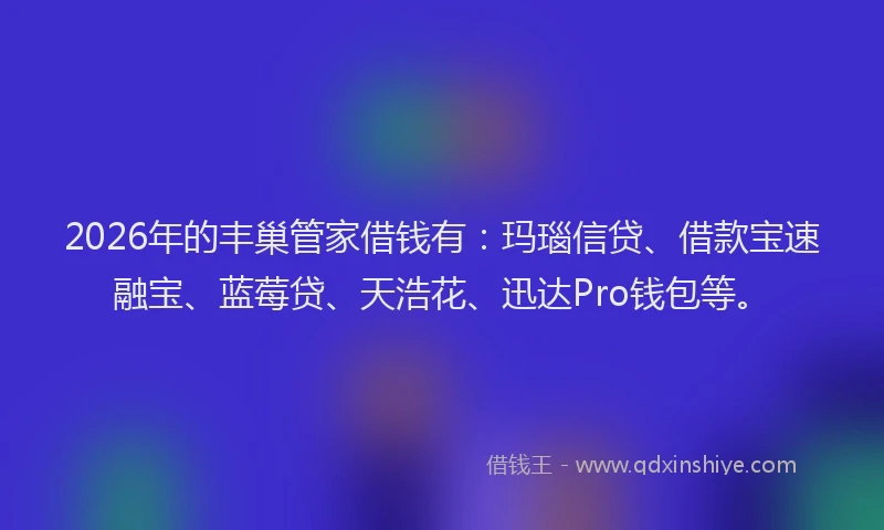 2026年的丰巢管家借钱有：玛瑙信贷、借款宝速融宝、蓝莓贷、天浩花、迅达Pro钱包等。