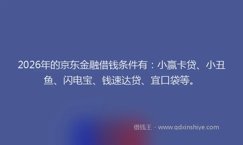 2026年的京东金融借钱条件有：小赢卡贷、小丑鱼、闪电宝、钱速达贷、宜口袋等。