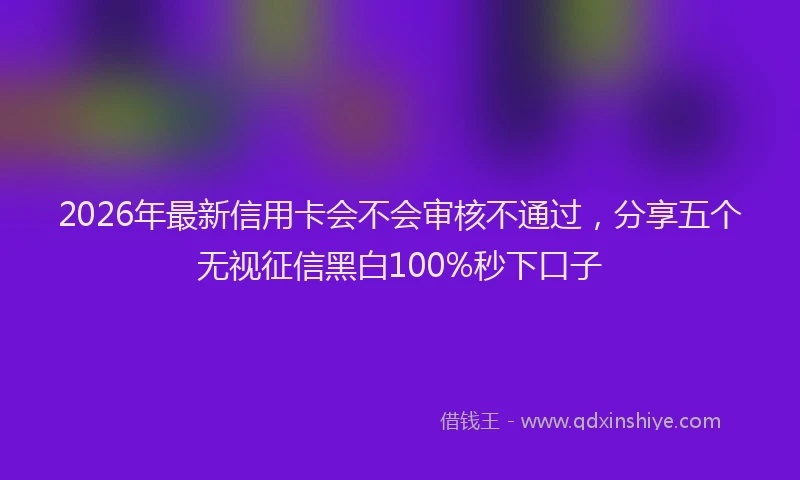 2026年最新信用卡会不会审核不通过,分享五个无视征信黑白100%秒下口子