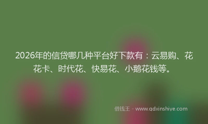 2026年的信贷哪几种平台好下款有：云易购、花花卡、时代花、快易花、小鹅花钱等。