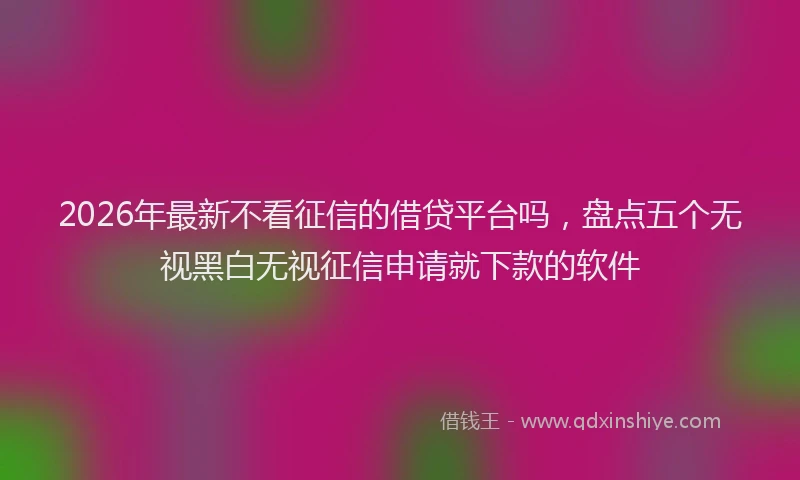2026年最新不看征信的借贷平台吗,盘点五个无视黑白无视征信申请就下款的软件