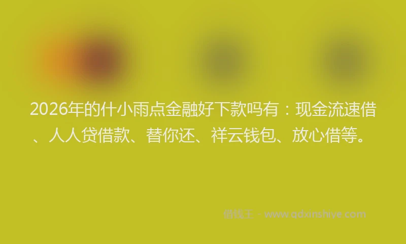 2026年的什小雨点金融好下款吗有:现金流速借、人人贷借款、替你还、祥云钱包、放心借等。