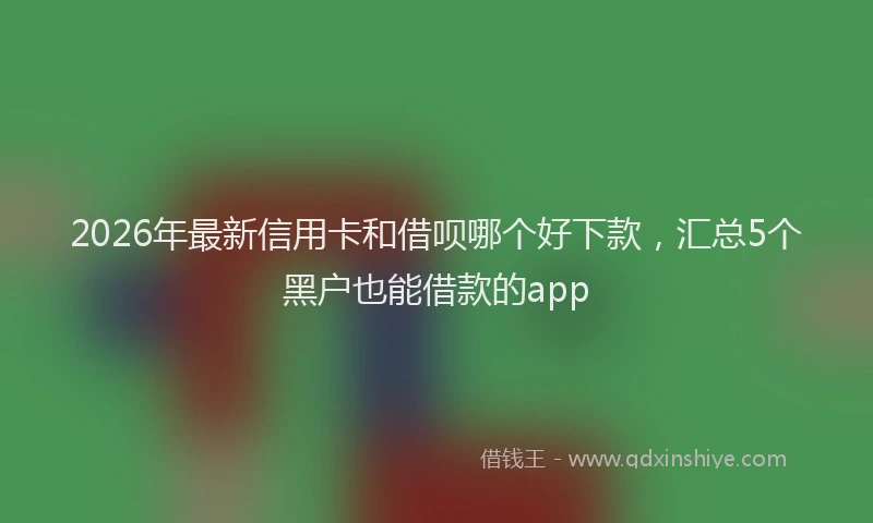 2026年最新信用卡和借呗哪个好下款,汇总5个黑户也能借款的app