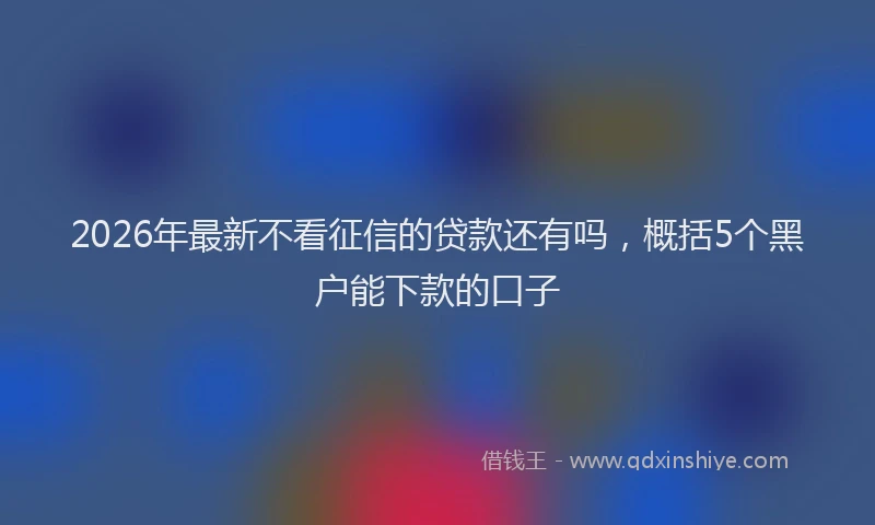 2026年最新不看征信的贷款还有吗，概括5个黑户能下款的口子