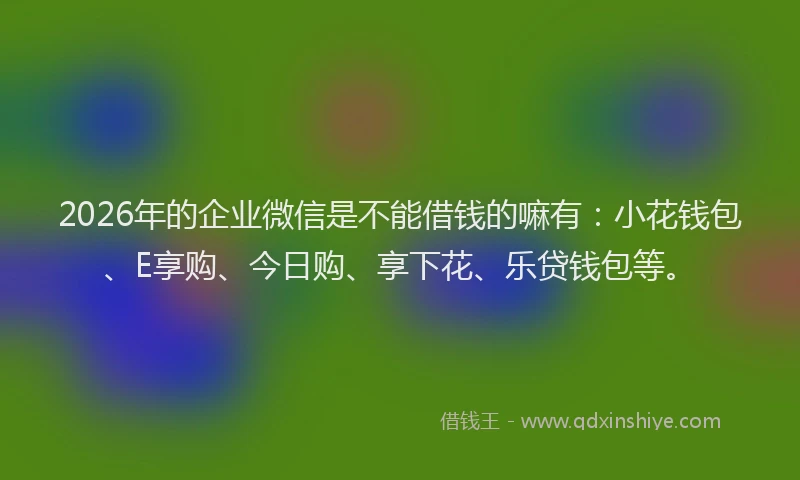2026年的企业微信是不能借钱的嘛有：小花钱包、E享购、今日购、享下花、乐贷钱包等。