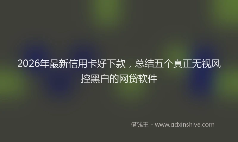 2026年最新信用卡好下款,总结五个真正无视风控黑白的网贷软件
