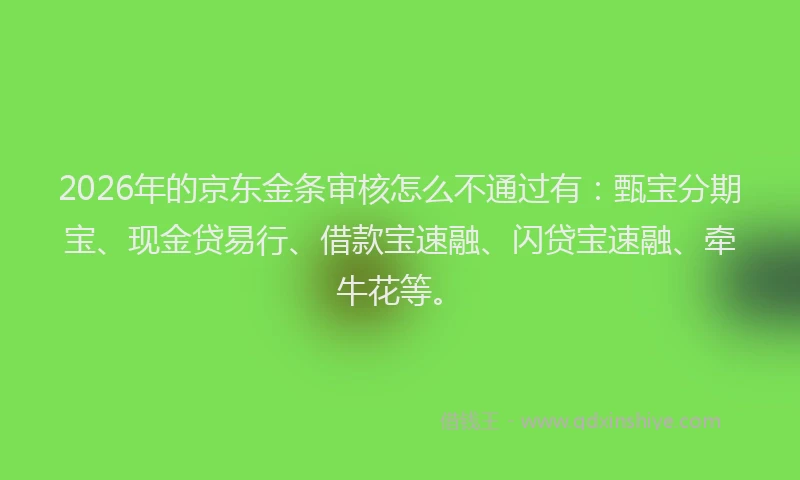 2026年的京东金条审核怎么不通过有：甄宝分期宝、现金贷易行、借款宝速融、闪贷宝速融、牵牛花等。