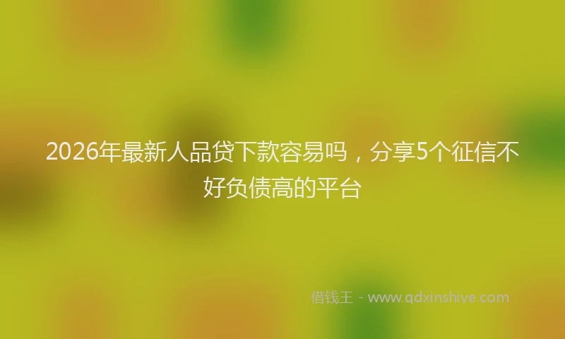 2026年最新人品贷下款容易吗，分享5个征信不好负债高的平台