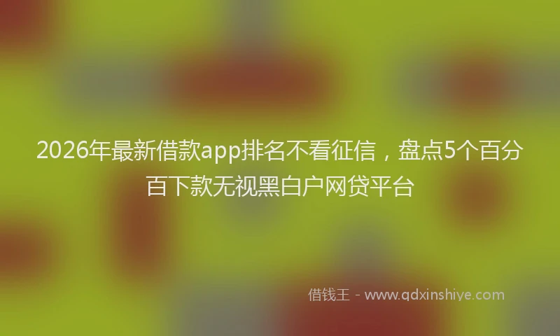 2026年最新借款app排名不看征信，盘点5个百分百下款无视黑白户网贷平台