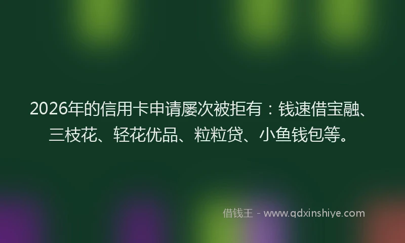 2026年的信用卡申请屡次被拒有：钱速借宝融、三枝花、轻花优品、粒粒贷、小鱼钱包等。