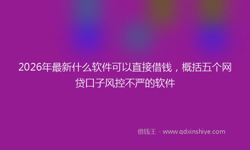 2026年最新什么软件可以直接借钱，概括五个网贷口子风控不严的软件