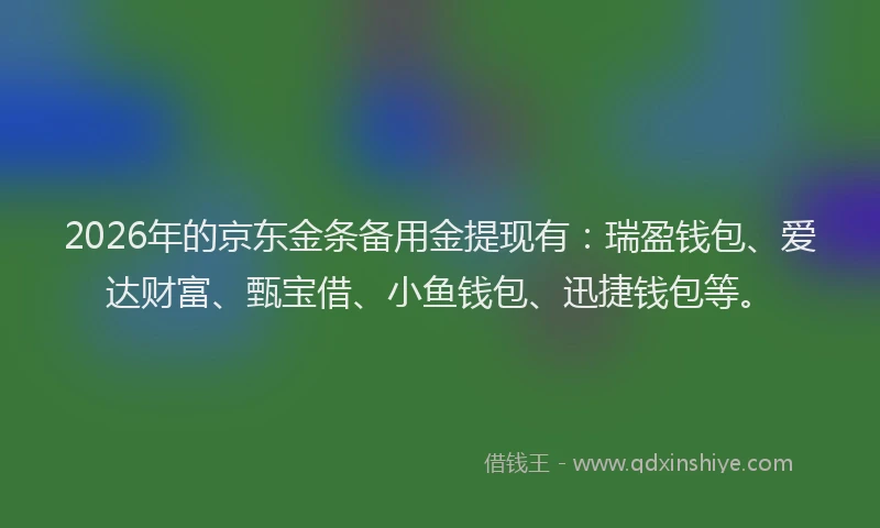 2026年的京东金条备用金提现有：瑞盈钱包、爱达财富、甄宝借、小鱼钱包、迅捷钱包等。