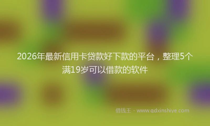 2026年最新信用卡贷款好下款的平台，整理5个满19岁可以借款的软件