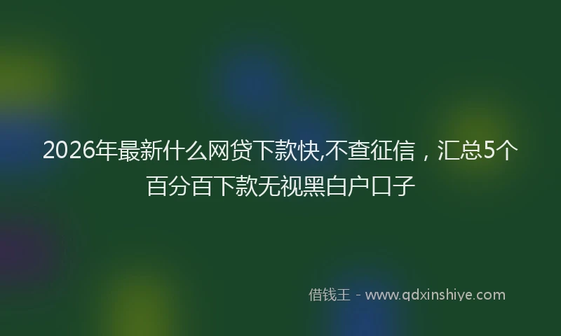 2026年最新什么网贷下款快,不查征信,汇总5个百分百下款无视黑白户口子